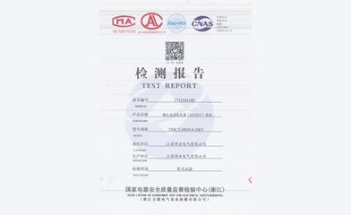 檢測(cè)報(bào)告