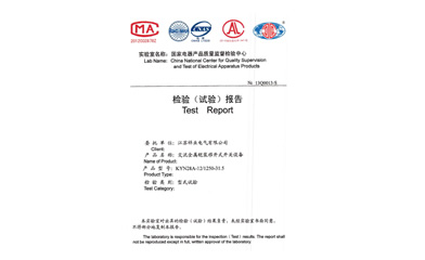 檢驗(yàn)（試驗(yàn)）報(bào)告