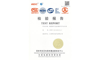 檢驗(yàn)報(bào)告