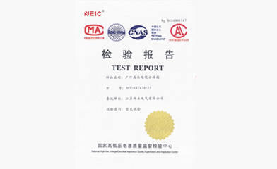 檢驗(yàn)報(bào)告