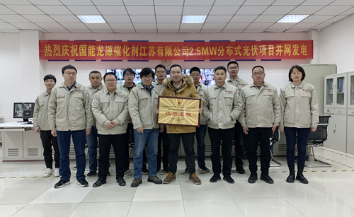 國(guó)能龍?jiān)创呋瘎┙K有限公司